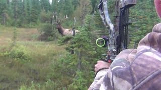 The best archery shots on video bowhunting  StuckNtheRut [upl. by Harrie604]