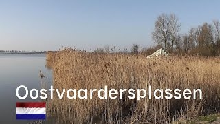 NETHERLANDS Oostvaardersplassen nature reserve [upl. by Yelnahs]