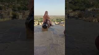 Jaisalmer explore jaisalmer rajasthan traveltrendingshorts travelvlog trending [upl. by Leatri745]