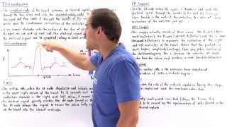 Introduction to Electrocardiogram [upl. by Ltsyrk379]