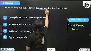 In an embryo sac the cells that degenerate after fertilisation are [upl. by Yecart]