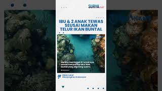 GEGARA Ikan Buntal Ibu dan 2 Anak di Maluku Tengah Tewas seusai Konsumsi Ikan Buatan Sang Suami [upl. by Kilah]