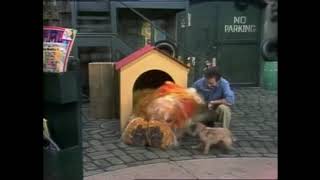 Classic Sesame Street A Doghouse for Barkley 1983 [upl. by Kristianson751]