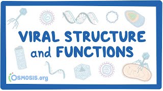 Viral Structure and Functions [upl. by Areta864]