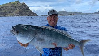 Jobfish  Otu Otu  Highway fish Catch Clean Cook Steamed Fish over Sweet Rice Maug CNMI [upl. by Nerrad]