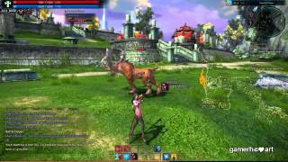 Gameplay TERA CBT5  High Elf Priest [upl. by Lumbye]