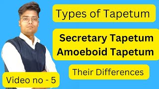 Types of Tapetum  Secretary TapetumAmoeboid Tapetum mirzafaizanbeg [upl. by Crow281]