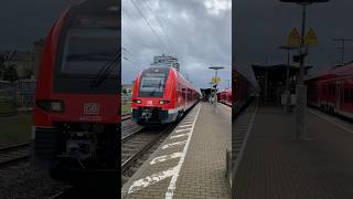 Der 190 kmh Siemens Desiro HC Br 4462 vom FTX fährt als RE19 nach Sonnenberg Hbf in Fürth Hbf aus [upl. by Lamarre713]