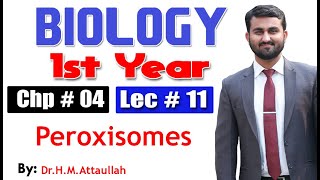 Peroxisomes  Chapter 4  1st year Biology  Lec  11 [upl. by Delphina]