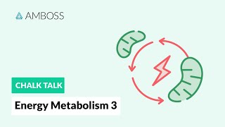 Energy Metabolism  Part 3 Regulation of Glycolysis [upl. by Erdnassac]