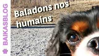 Promenades en montagne 🇨🇭  Les chiens baladent leurs humains [upl. by Karita]