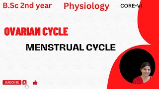 Ovarian Cycle Bsc 2nd YearMenstrual CycleReproductive cycleovariancycle reproductivecycle [upl. by Ackler527]