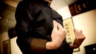 Foshan Wing Chun 佛山詠春拳 [upl. by Justinian]