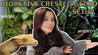 I UPGRADED My Crested Gecko Enclosure  BIOACTIVE SETUP [upl. by Annoerb]