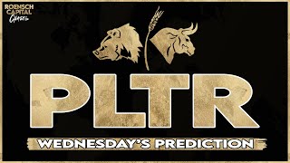 PLTR Stock  Palantir Prediction for Wednesday Feb 14th [upl. by Oeramed]