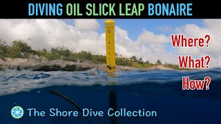 Diving Oil Slick Leap Bonaire  The Shore Dive Collection  TropicLens  4K [upl. by Sonnie]