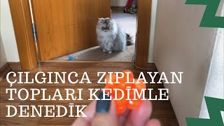 Çılgınca zıplayan toplardan aldım bakalım kedim oynayacak mı [upl. by Katzman786]