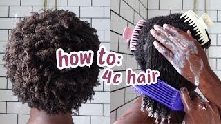 Curly Hair 101 Beginners Guide to 4C Hair [upl. by Natsirc]