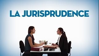 La jurisprudence  LA LOI ET VOUS par Éducaloi [upl. by Nodnas]