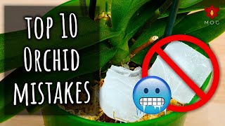 Top 10 Mistakes you didnt know you were making  Orchid Care for Beginners [upl. by Camp]