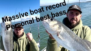 MASSIVE boat record bass  boat fishing uk 🇬🇧 winter plaice fishing fishing fish boatfishinguk [upl. by Hoashis]