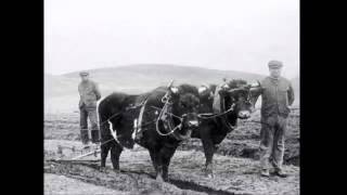 Crofters And Crofting Scotland 2 [upl. by Lamrej340]