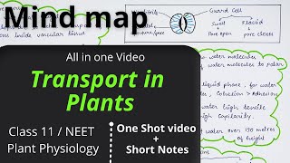 Transport in plants  Plant physiology NEET Class 11 Mind map One shot video Best revision for NEET [upl. by Neurath]