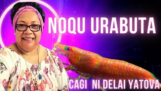 Noqu Ura Buta  Cagi ni Delai Yatova [upl. by Howlan]