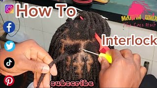 Mastering How to Interlock Dreadlocks as a way of Maintenence [upl. by Kilah]