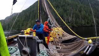 Alaska salmon seining [upl. by Gnud615]