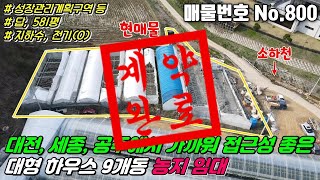 계약완료 No800 세종시장군면대형하우스9개동임대 답581평 농지임대 지하수전기 설치되어있는 하우스농사추천 위치좋고 저렴한 세종시농지임대 장군면토지임대 산학리토지임대 부동산 [upl. by Adnilev]