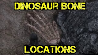 Dinosaur Bone At Bacchus Station RDR2 DinosaurBones [upl. by Syverson678]