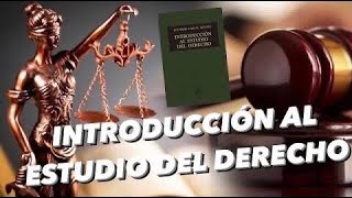 DERECHO SUBJETIVO TEORÍA KELSENIANA  CLASES DE DERECHO [upl. by Ysus219]