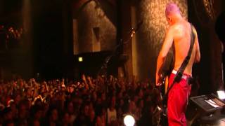 Red Hot Chili Peppers  Look Around  Live in Köln 2011 HD [upl. by Burck]