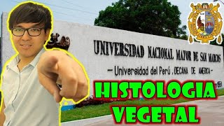 BIOLOGÍA FREE   HISTOLOGIA VEGETAL 💚🌿🍃 [upl. by Dajma973]