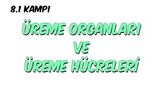 Üreme Organları ve Üreme Hücreleri  81 Kampı [upl. by Siuluj]