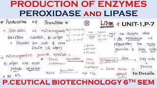 Production of enzymes  Peroxidase And Lipase Production Pharmaceutical Biotechnology  u1 Part7 [upl. by Haseefan62]