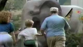 Philadelphia Zoo commercial  1989 [upl. by Simetra359]