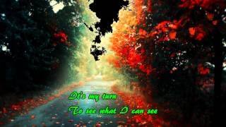 Its My Turn  Diana Ross Lyrics [upl. by Rugen]