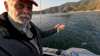 Shasta Lake Fall Trout Sacramento River Arm [upl. by Nadnal]