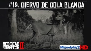 Localización Ciervo de Cola Blanca  12Compendio Animales  Red dead redemption 2 [upl. by Yhtrod]