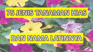 75 Jenis Tanaman Hias Dan Nama Latinnya Dari Tanaman Ekor Musang Sampai Ekor Cendrawasih [upl. by Minetta832]