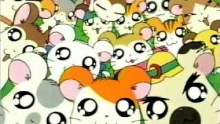 Hamtaro  Ending SONG♥ [upl. by Amsaj]