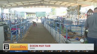 Fun at the Dixon May Fair [upl. by Macario]