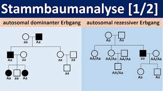 Stammbaumanalyse 12  autosomal dominante bzw rezessive Erbgänge Biologie Oberstufe Genetik [upl. by Htesil]