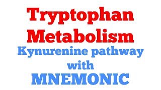 Tryptophan metabolism with Mnemonic  Kynurenine anthranilic acid pathway  Biochemistry [upl. by Lilybelle233]