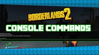 How To EnableUse Console Commands in Borderlands 2 Stat FPS ToggleHUD Screenshot [upl. by Adrian]