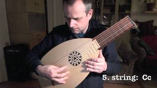 tuning renaissance lute in g [upl. by Ecirtap471]