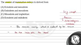 The amnion of mammalian embryo is derived from [upl. by Nod48]