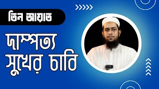 বিয়ের খুতবার তিন আয়াত  দাম্পত্য সুখের চাবি  মাওলানা তাহমীদুল মাওলা [upl. by Erfert468]